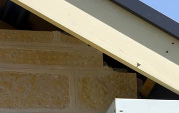 soffit repair Townland Green